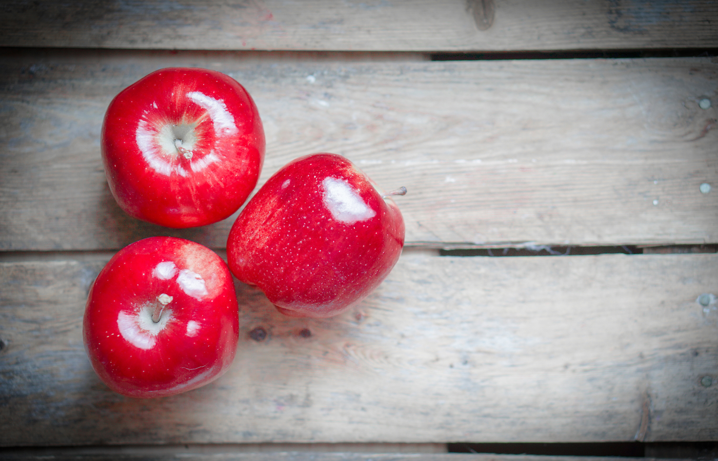 The Red Delicious Apples – What Happened?, Spotlight