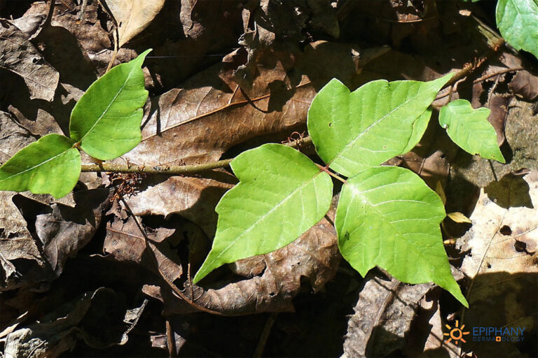 Pumped Up Poison Ivy - Iowa Source