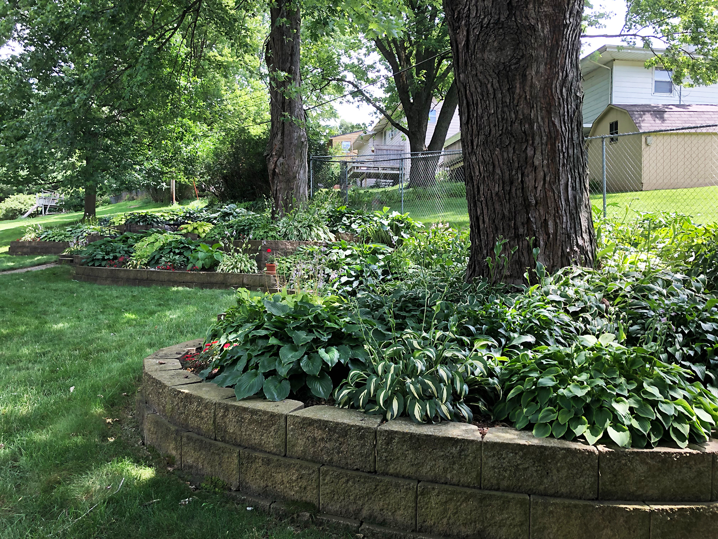 Tour Iowa City’s Best Private Gardens July 13-14 – Iowa Source