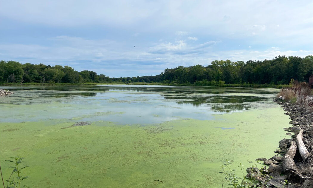 Green Stuff in the Water - Prairie Rivers of Iowa